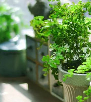 哈尔滨专属于你的开运指南，助你鸿运当头福满身！